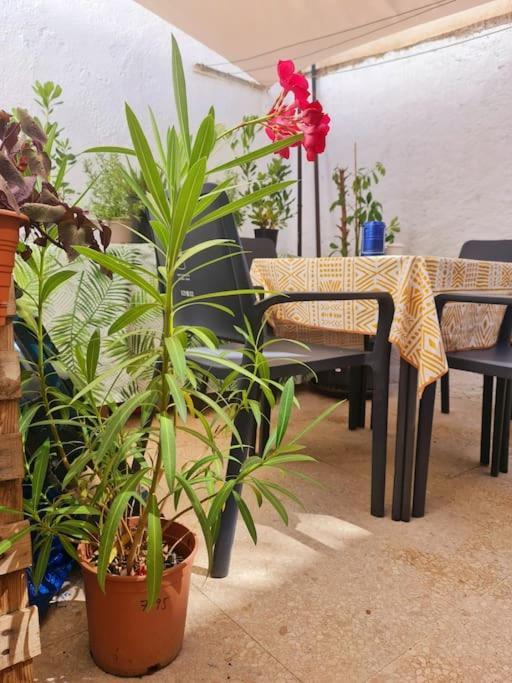 Estancia De Ensueno Y Relax Parking Gratuito Granada Exterior photo